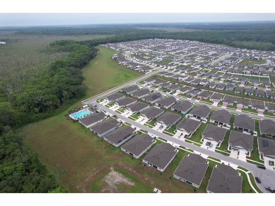 20029 Royal Tern Court Leesburg FL 34748 W7882736 image45