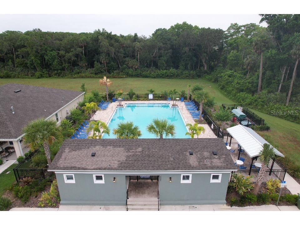 20029 Royal Tern Court Leesburg FL 34748 W7882736 image6