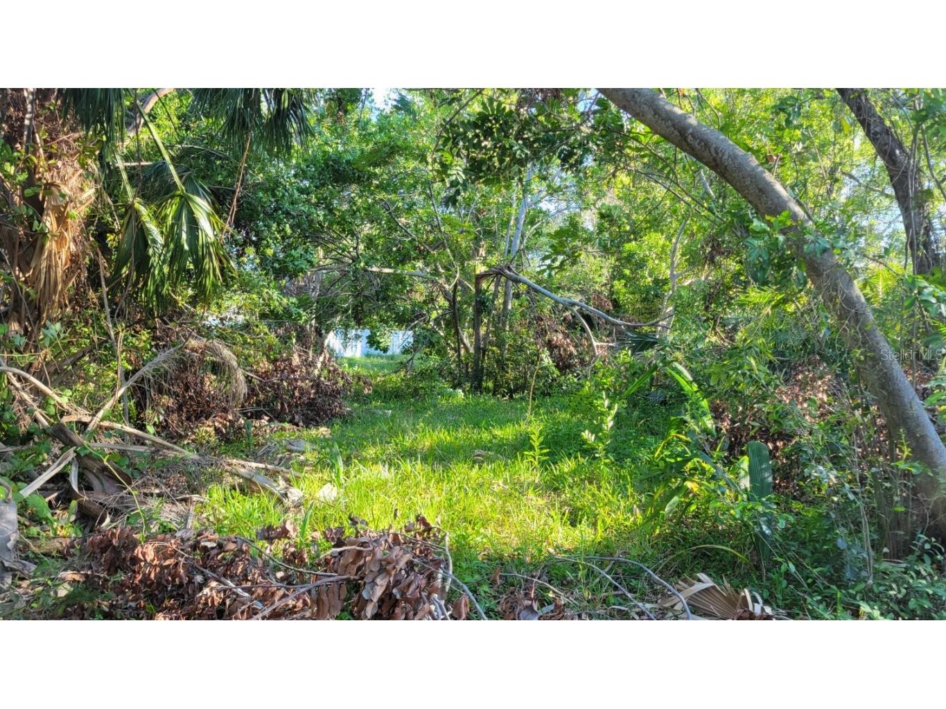 2003 51st Avenue E Bradenton FL 34203 A4645080 image7