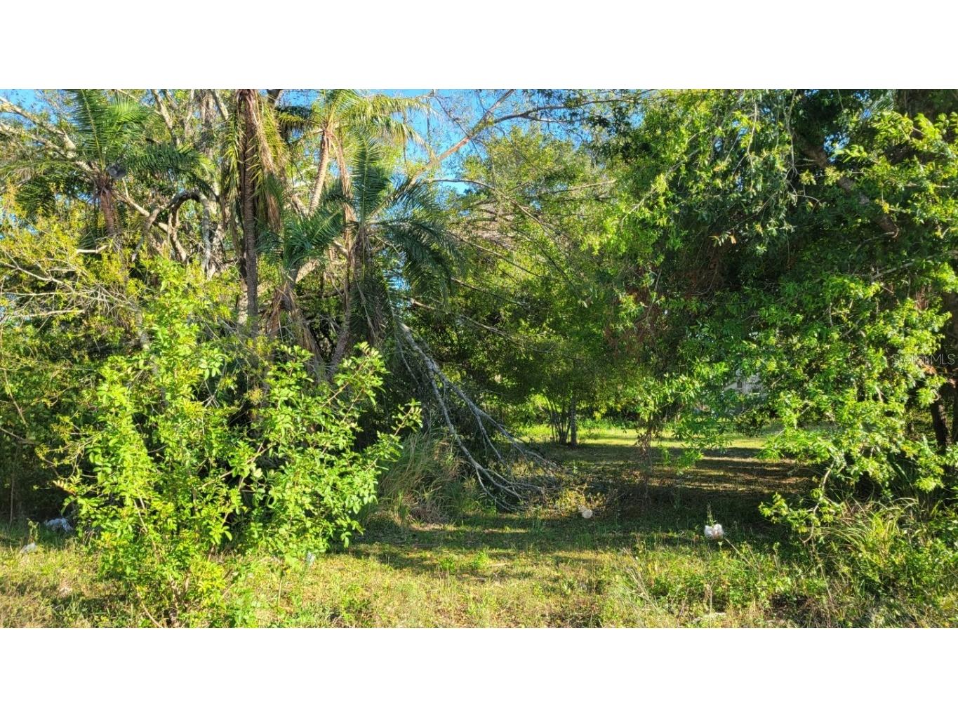 2003 51st Avenue E Bradenton FL 34203 A4645080 image8