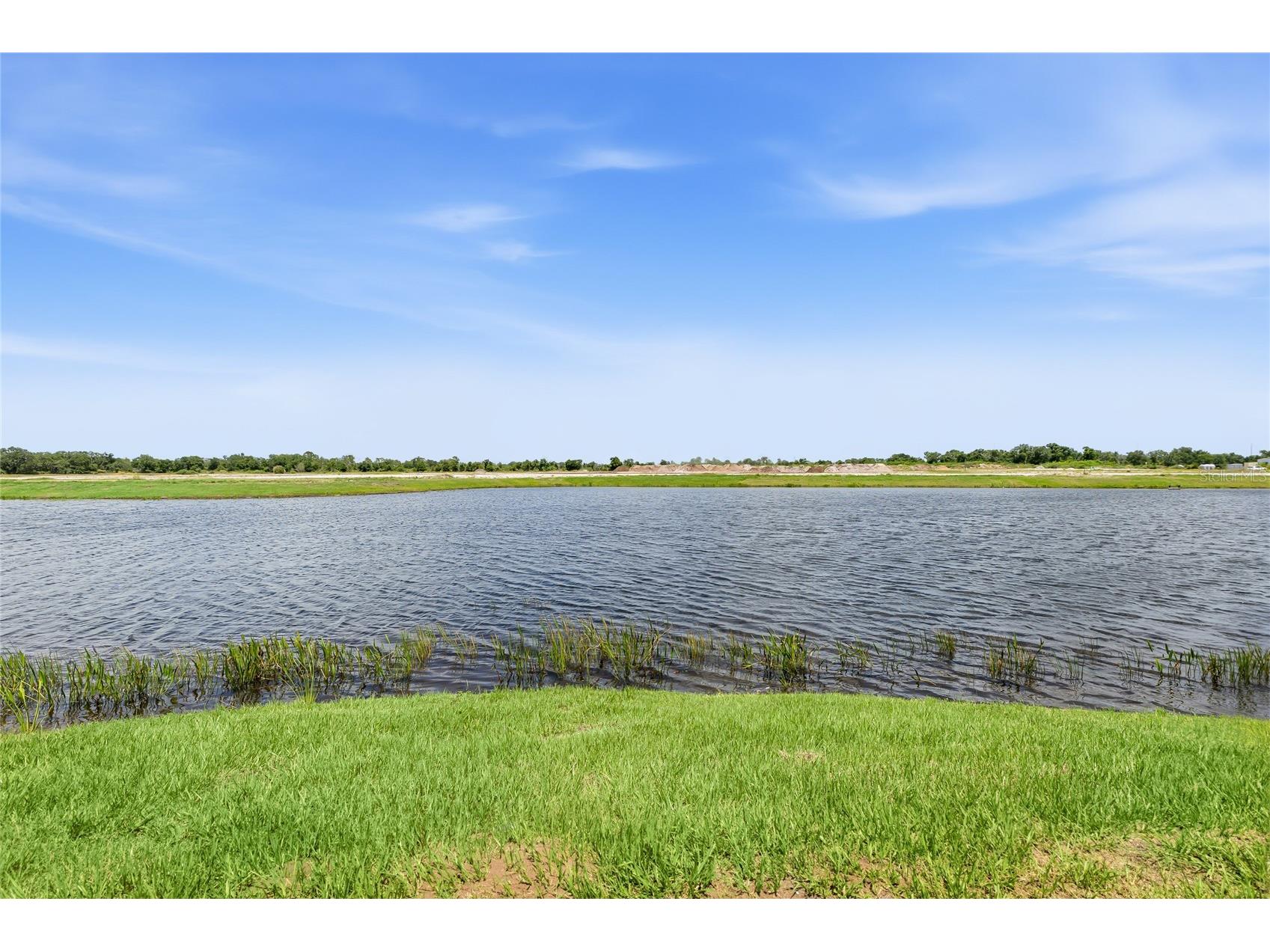 2003 Bamboo Palm Cove Bradenton FL 34212 A4696380 image37