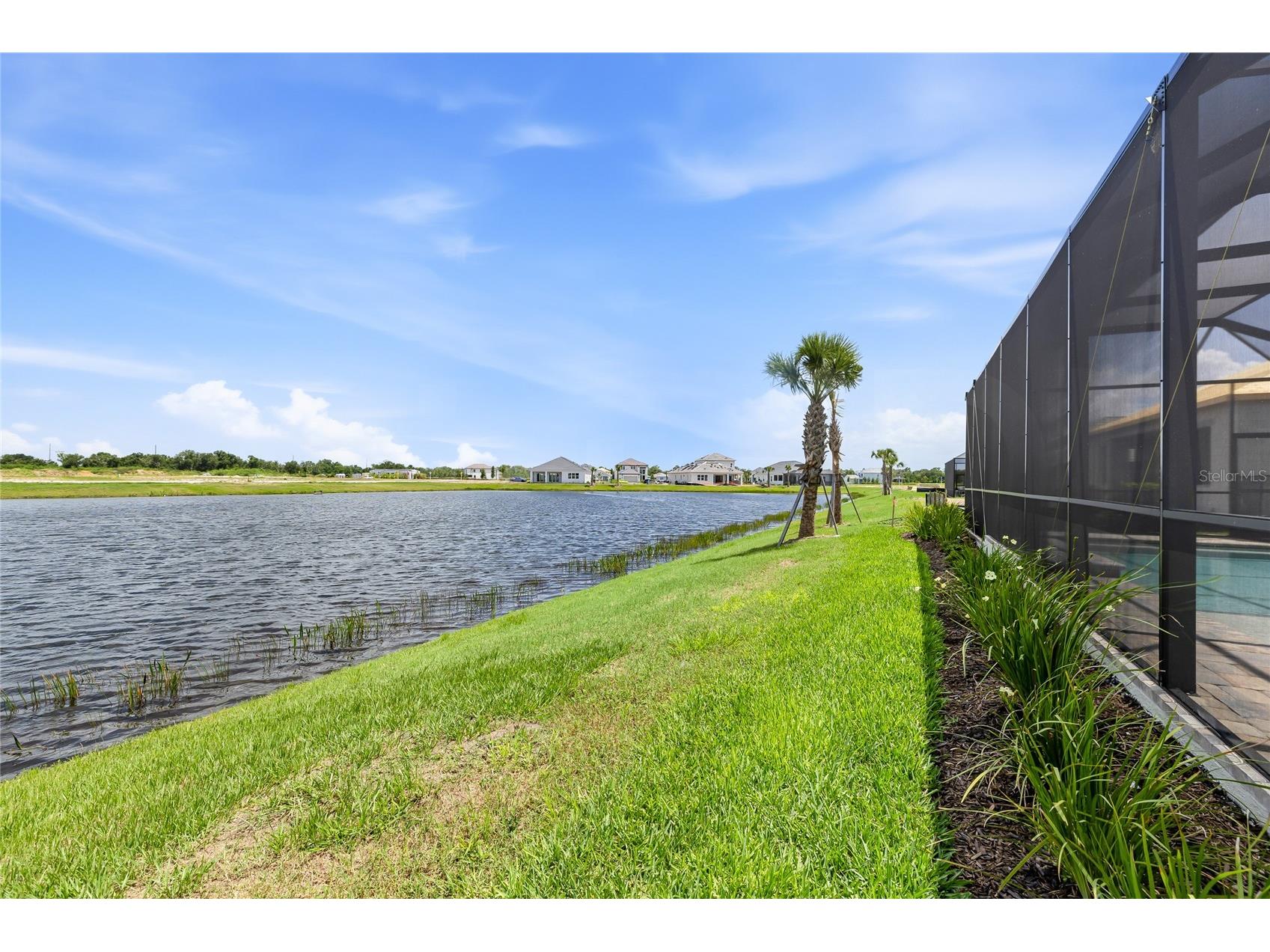 2003 Bamboo Palm Cove Bradenton FL 34212 A4696380 image38