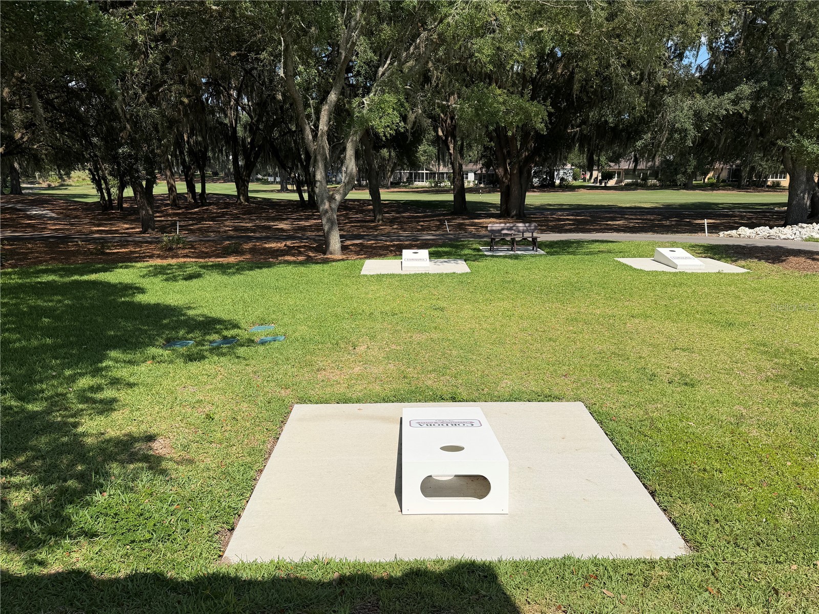 2003 Cordero Court The Villages FL 32159 G5112412 image25