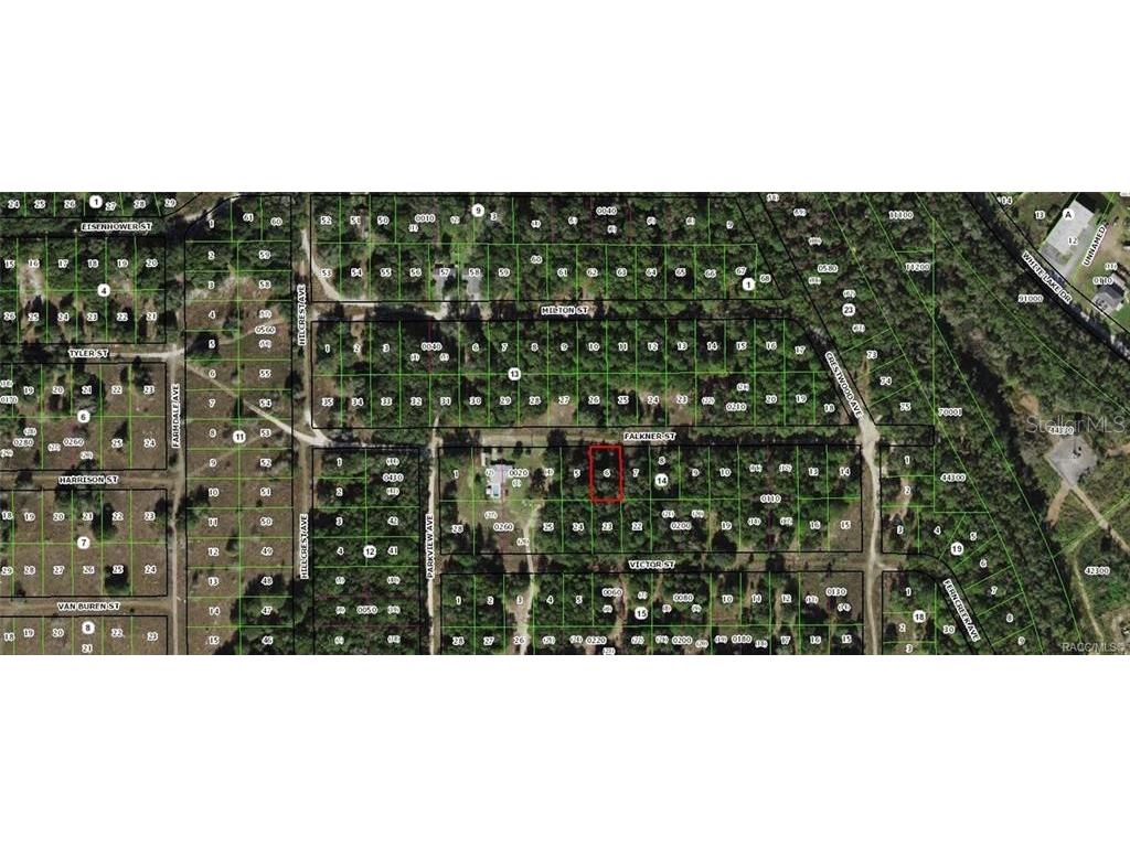 2003 Falkner Street Inverness FL 34453 OM680472 image1