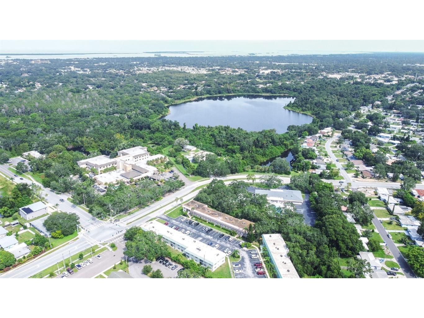 2003 Greenbriar Boulevard #16 Clearwater FL 33763 TB8422484 image54