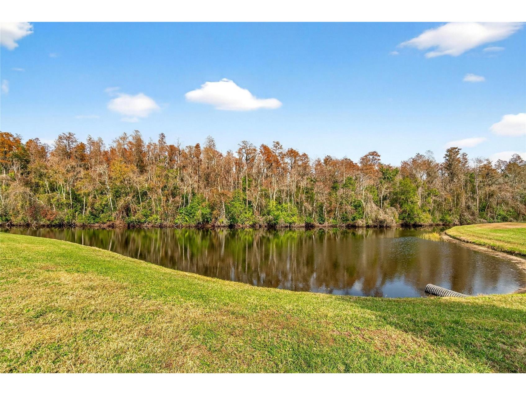 2003 Hartlebury Way #432 Sun City Center FL 33573 TB8465354 image20