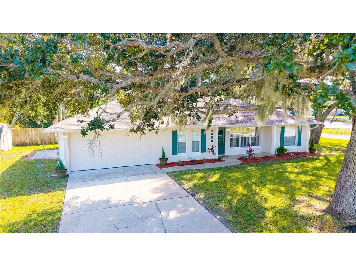 2003 Kumquat Drive Edgewater FL 32141 NS1086589 image1