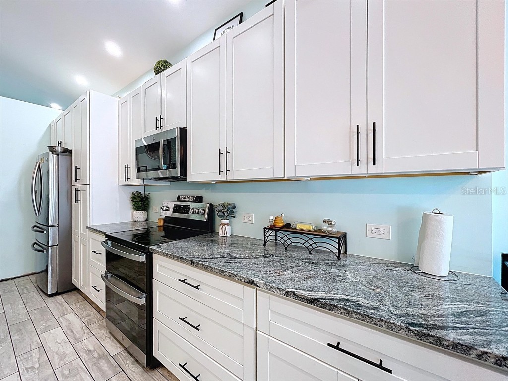 2003 Leichester Street Valrico FL 33594 TB8419165 image27