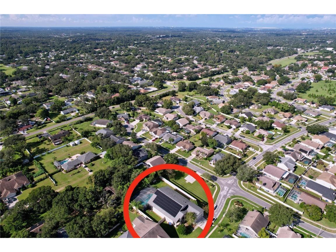 2003 Leichester Street Valrico FL 33594 TB8419165 image49