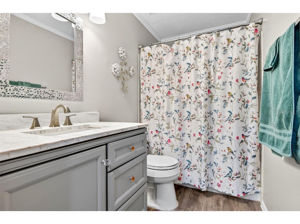 2003 Lennox Road E #2003 Palm Harbor FL 34683 TB8431348 image19