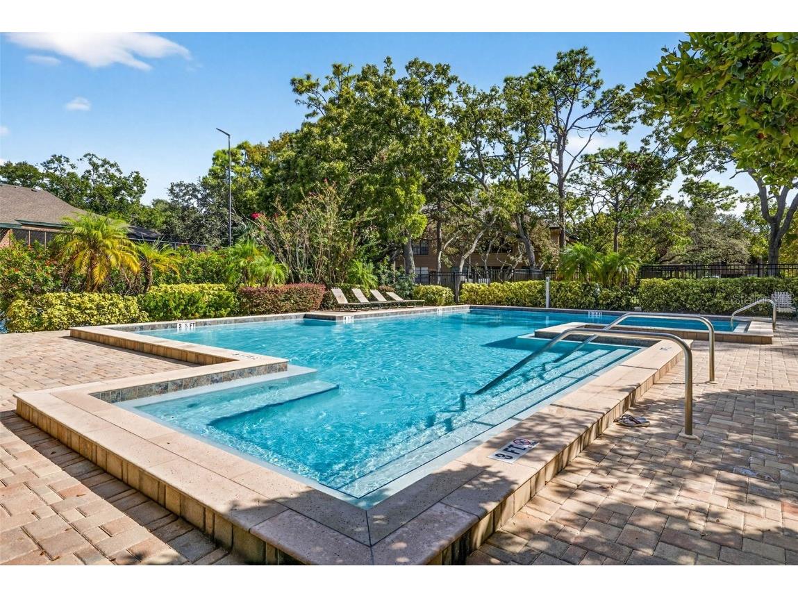 2003 Lennox Road E #2003 Palm Harbor FL 34683 TB8431348 image35