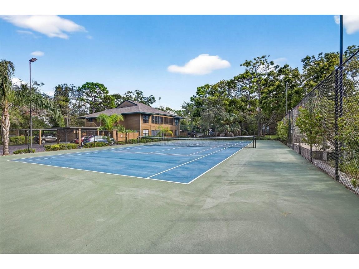 2003 Lennox Road E #2003 Palm Harbor FL 34683 TB8431348 image36