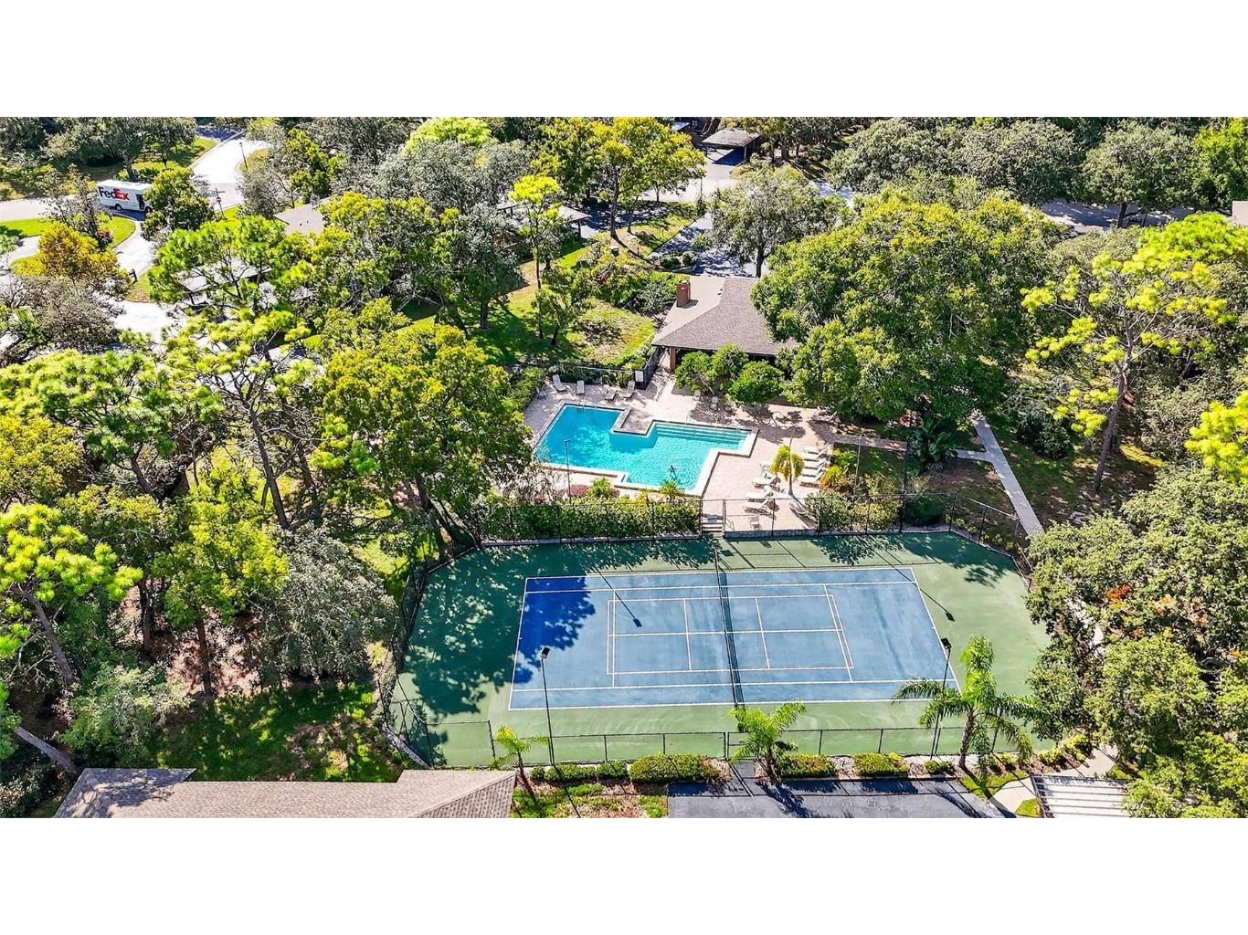 2003 Lennox Road E #2003 Palm Harbor FL 34683 TB8431348 image37