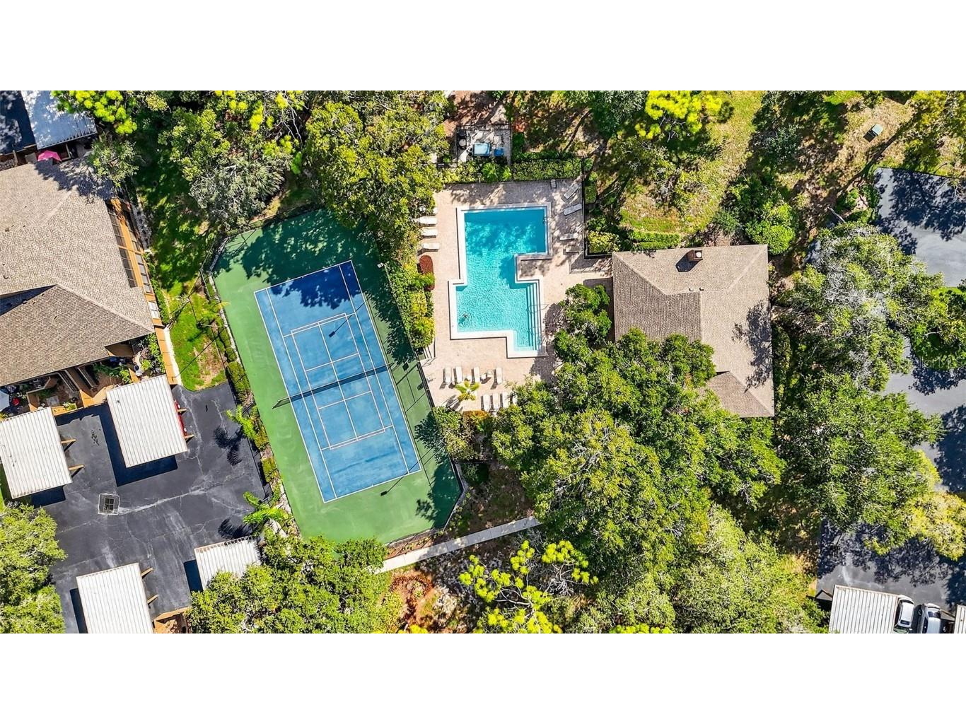 2003 Lennox Road E #2003 Palm Harbor FL 34683 TB8431348 image38