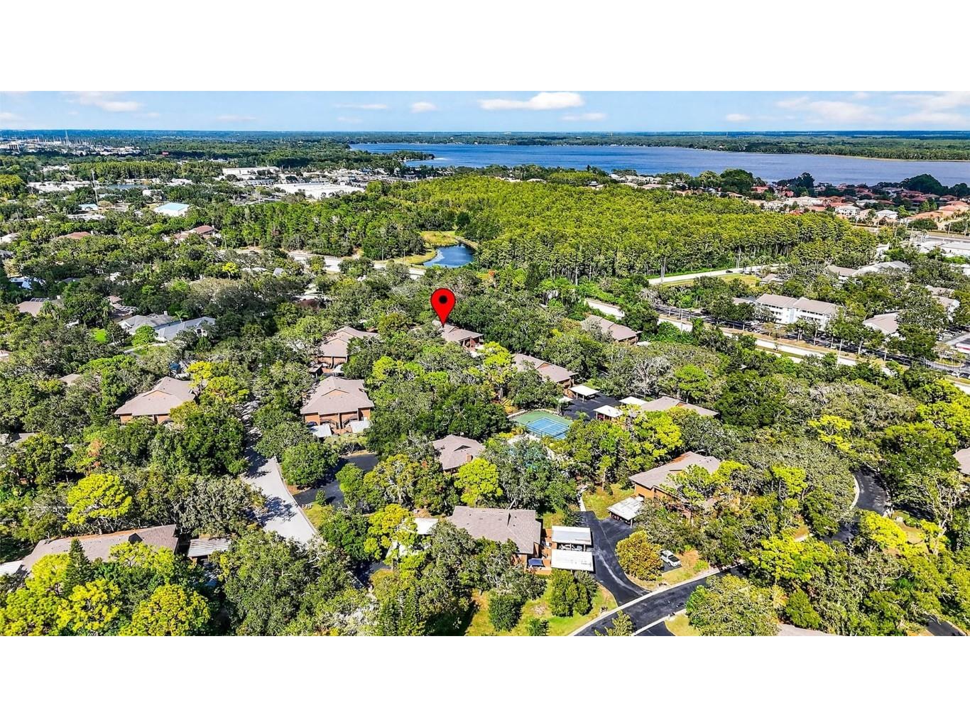 2003 Lennox Road E #2003 Palm Harbor FL 34683 TB8431348 image39