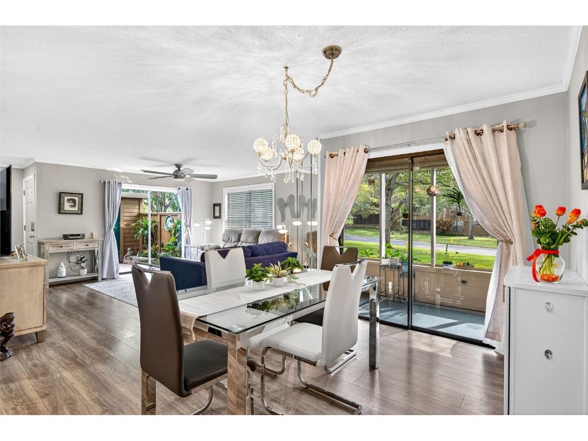 2003 Lennox Road E #2003 Palm Harbor FL 34683 TB8431348 image8