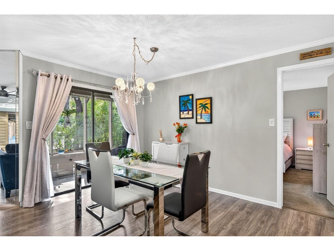 2003 Lennox Road E #2003 Palm Harbor FL 34683 TB8431348 image9