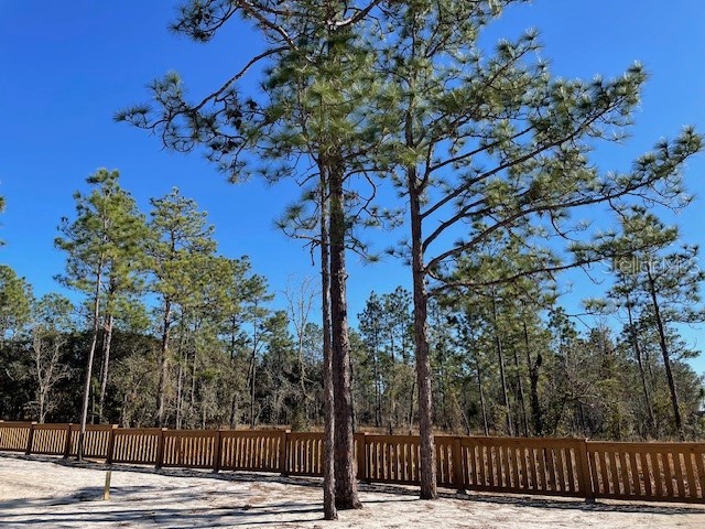 2003 SW Deerpark Heights Road Dunnellon FL 34431 OM718212 image11
