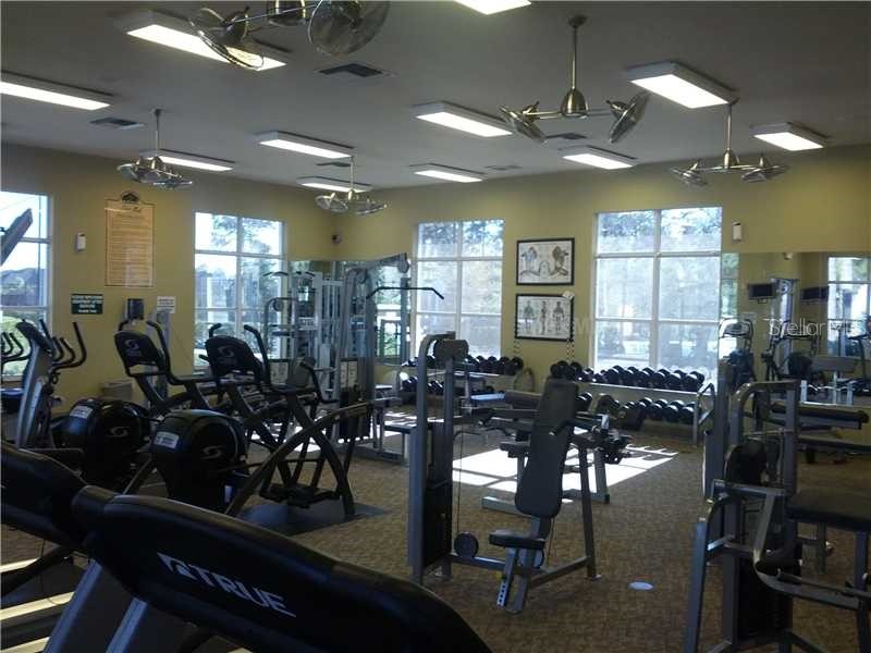 20031 Date Palm Way Tampa FL 33647 TB8448918 image15