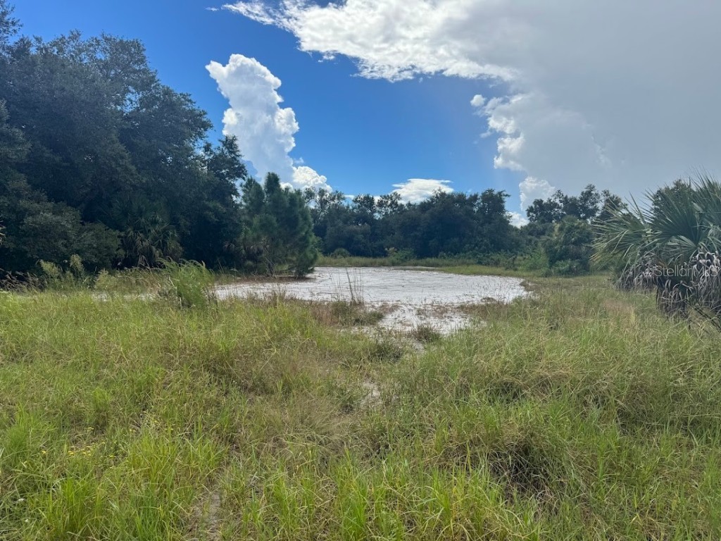 20033 & 20041 Buchanan Avenue Port Charlotte FL 33954 C7515292 image2