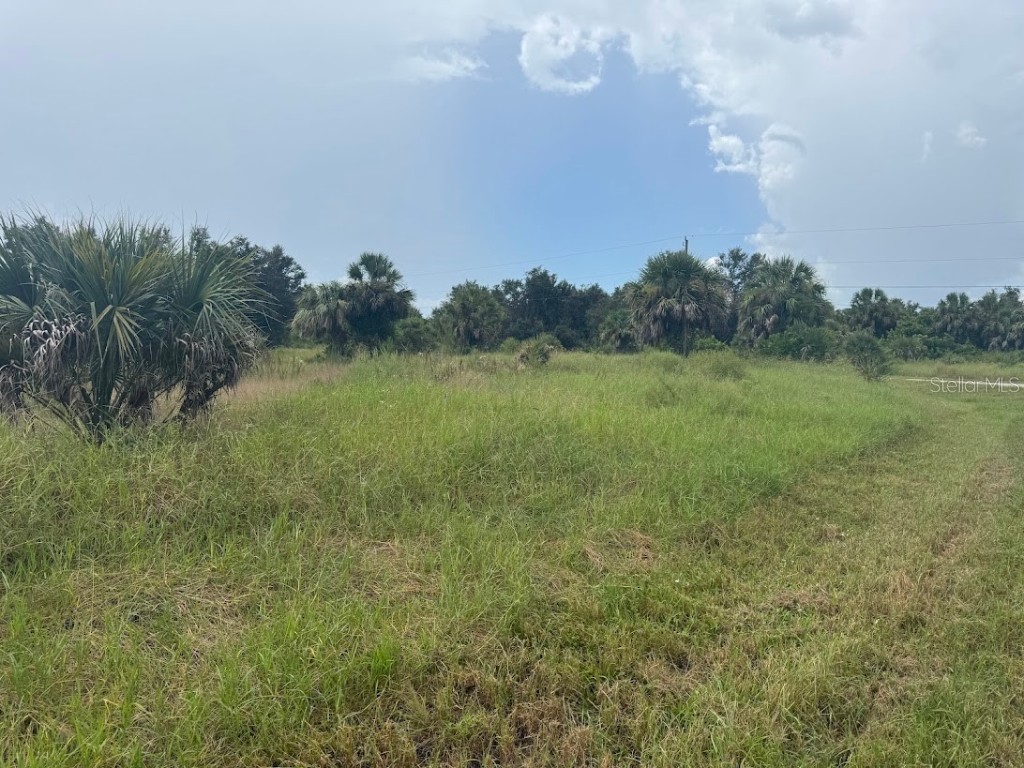 20033 & 20041 Buchanan Avenue Port Charlotte FL 33954 C7515292 image4