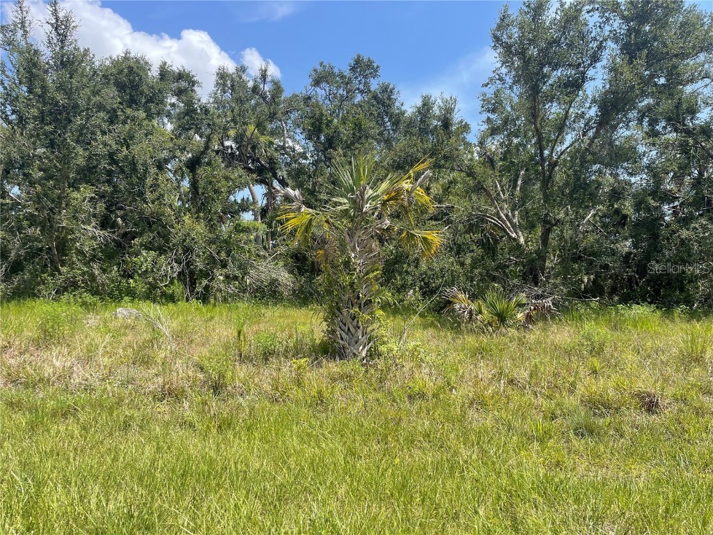 20035 Arnold Avenue S Port Charlotte FL 33954 C7477927 image1