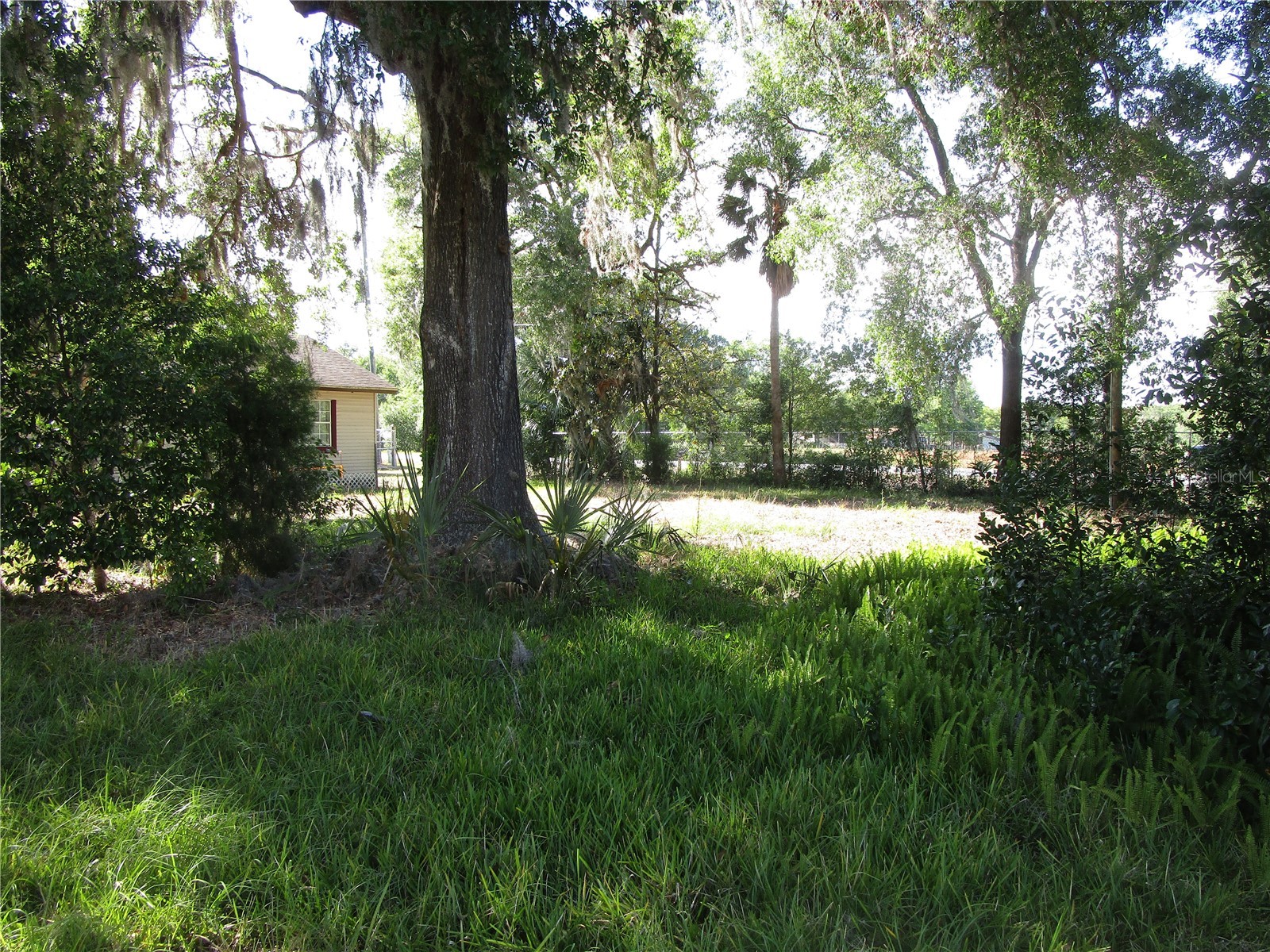 20036 State Road 44 Eustis FL 32736 O6379662 image21
