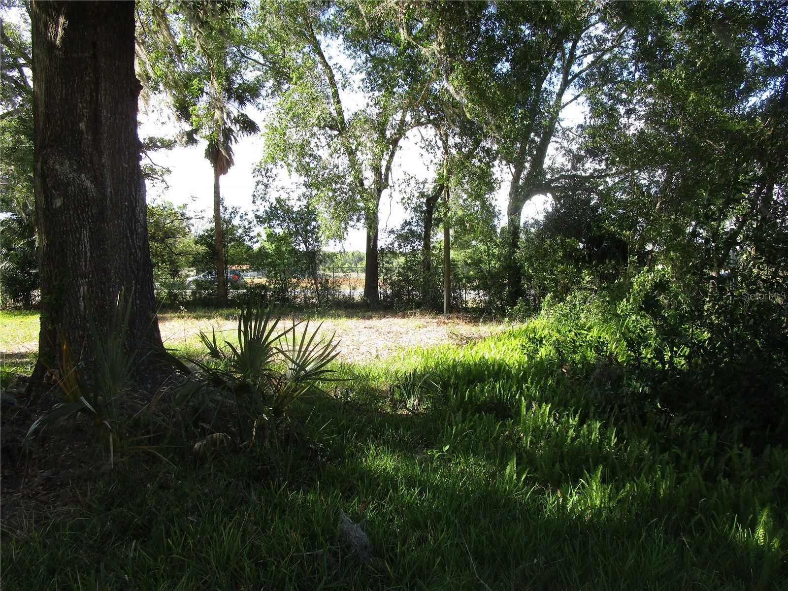 20036 State Road 44 Eustis FL 32736 O6379662 image22