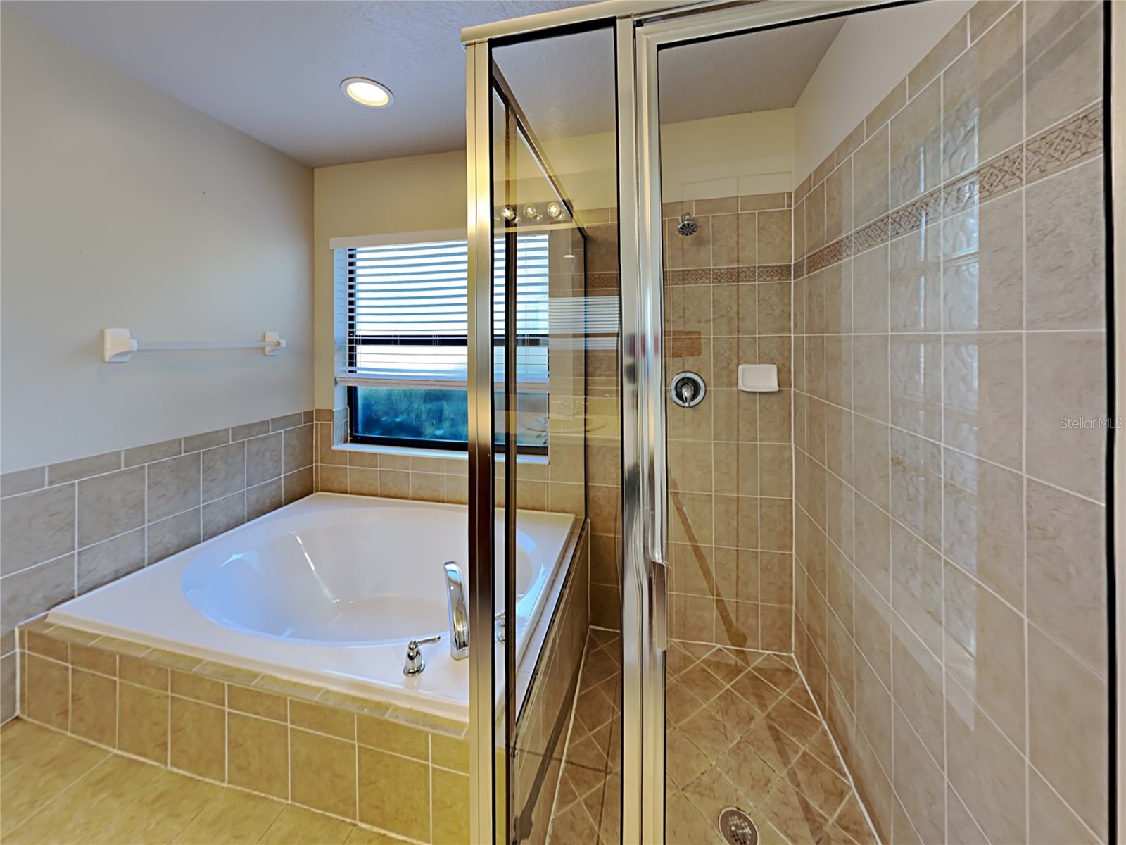 2004 Abbey Trace Drive Dover FL 33527 TB8488181 image14