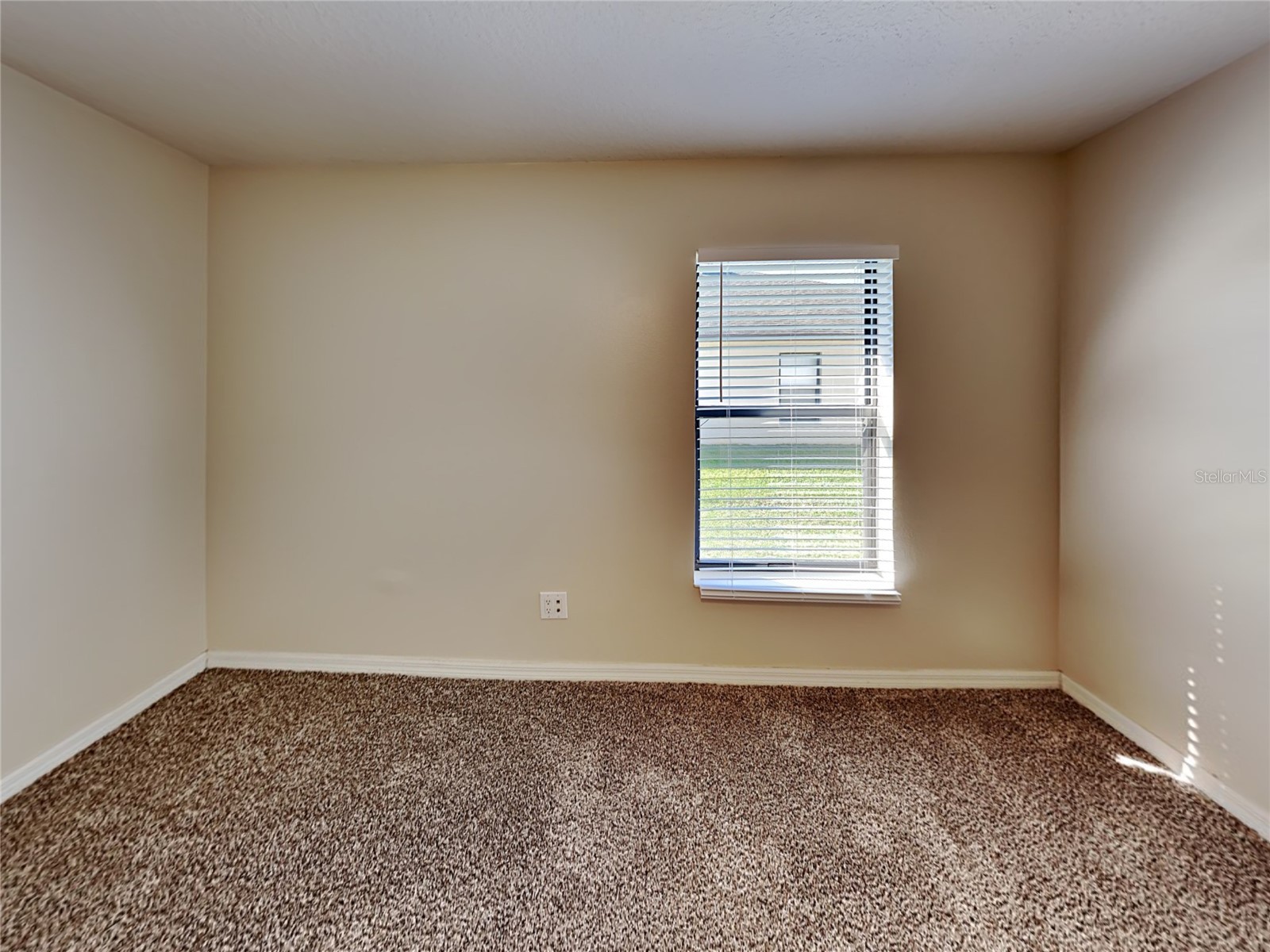 2004 Abbey Trace Drive Dover FL 33527 TB8488181 image4