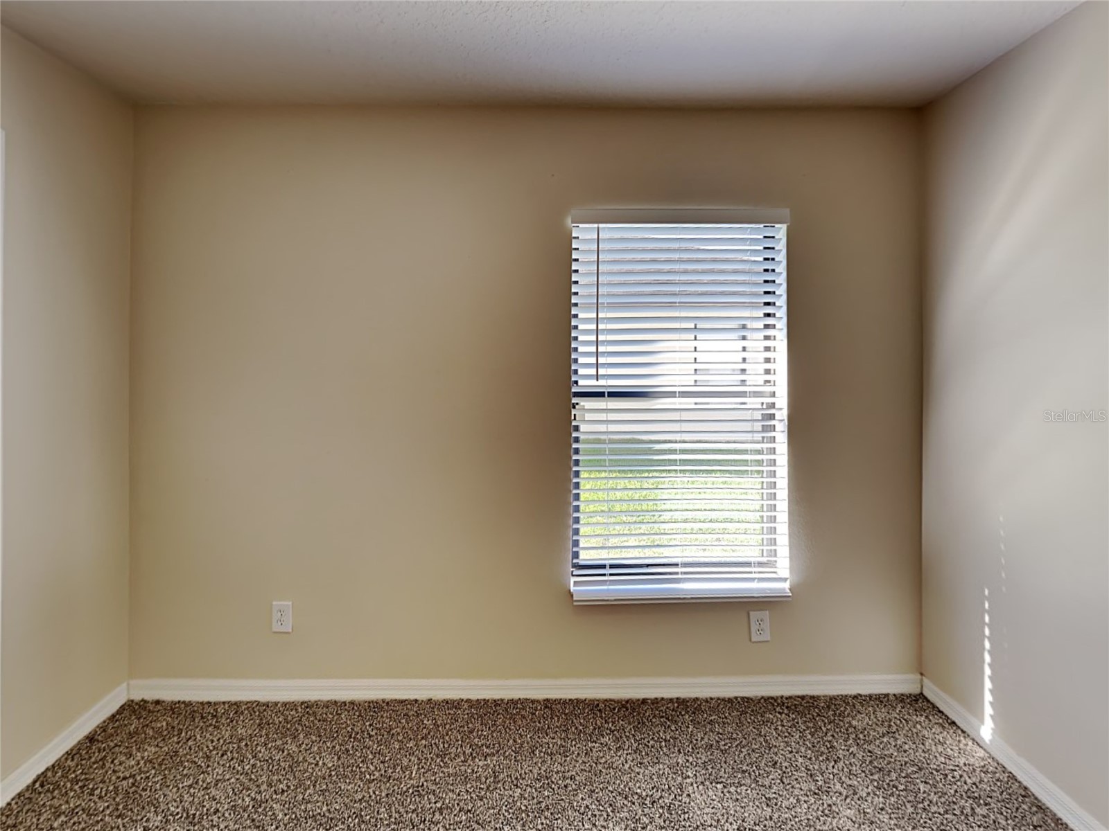 2004 Abbey Trace Drive Dover FL 33527 TB8488181 image5