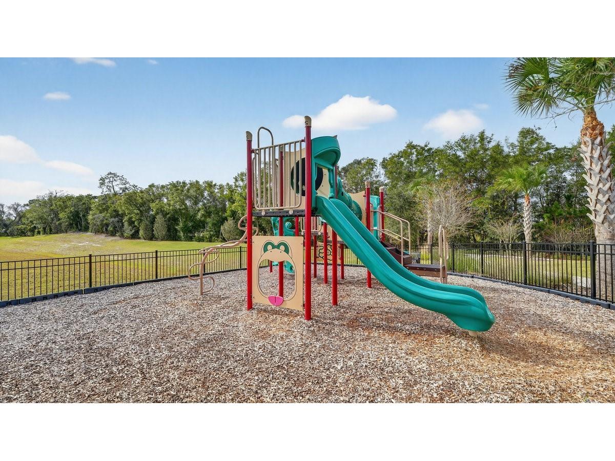 2004 Canopy Terrace Boulevard Deland FL 32724 V4946330 image42