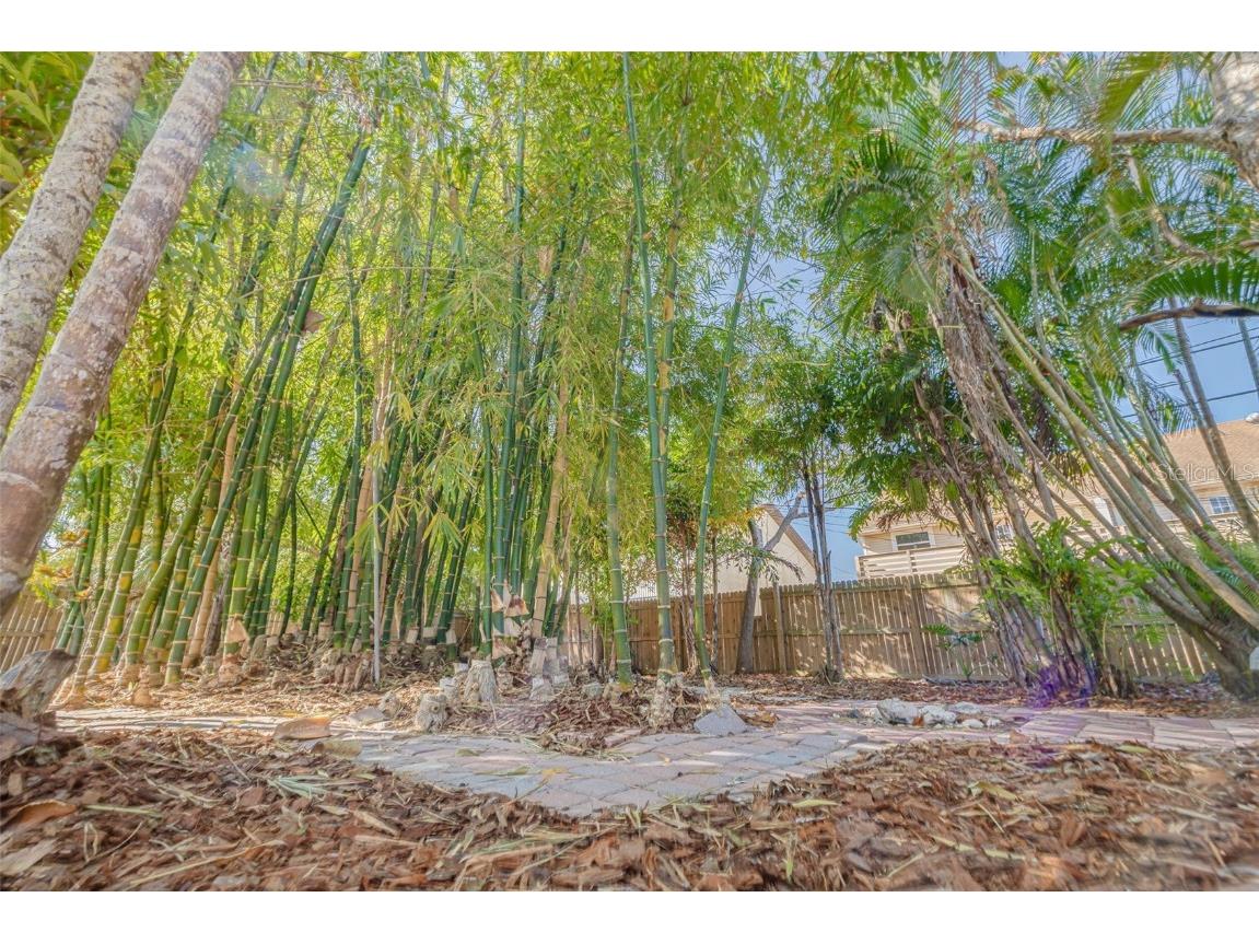 2004 Douglas Avenue Dunedin FL 34698 TB8451471 image24