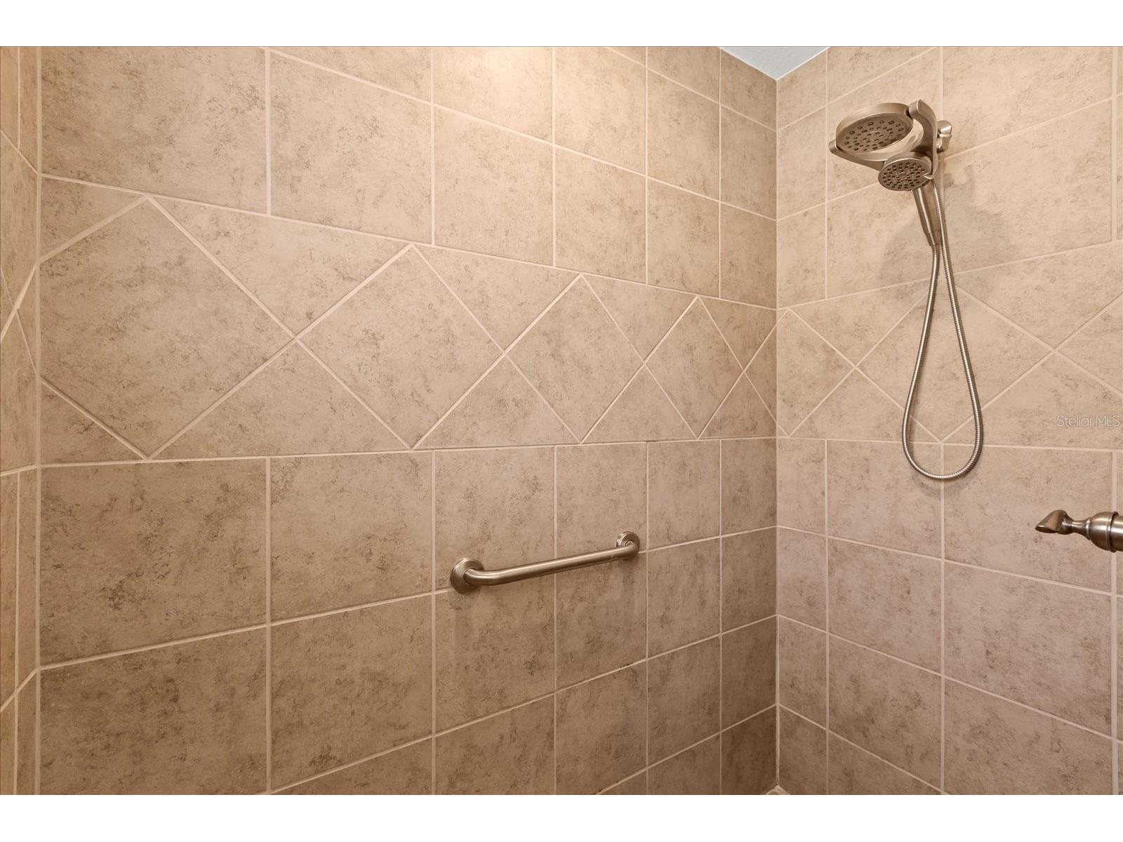 2004 Flowersville Place The Villages FL 32163 P4937987 image15