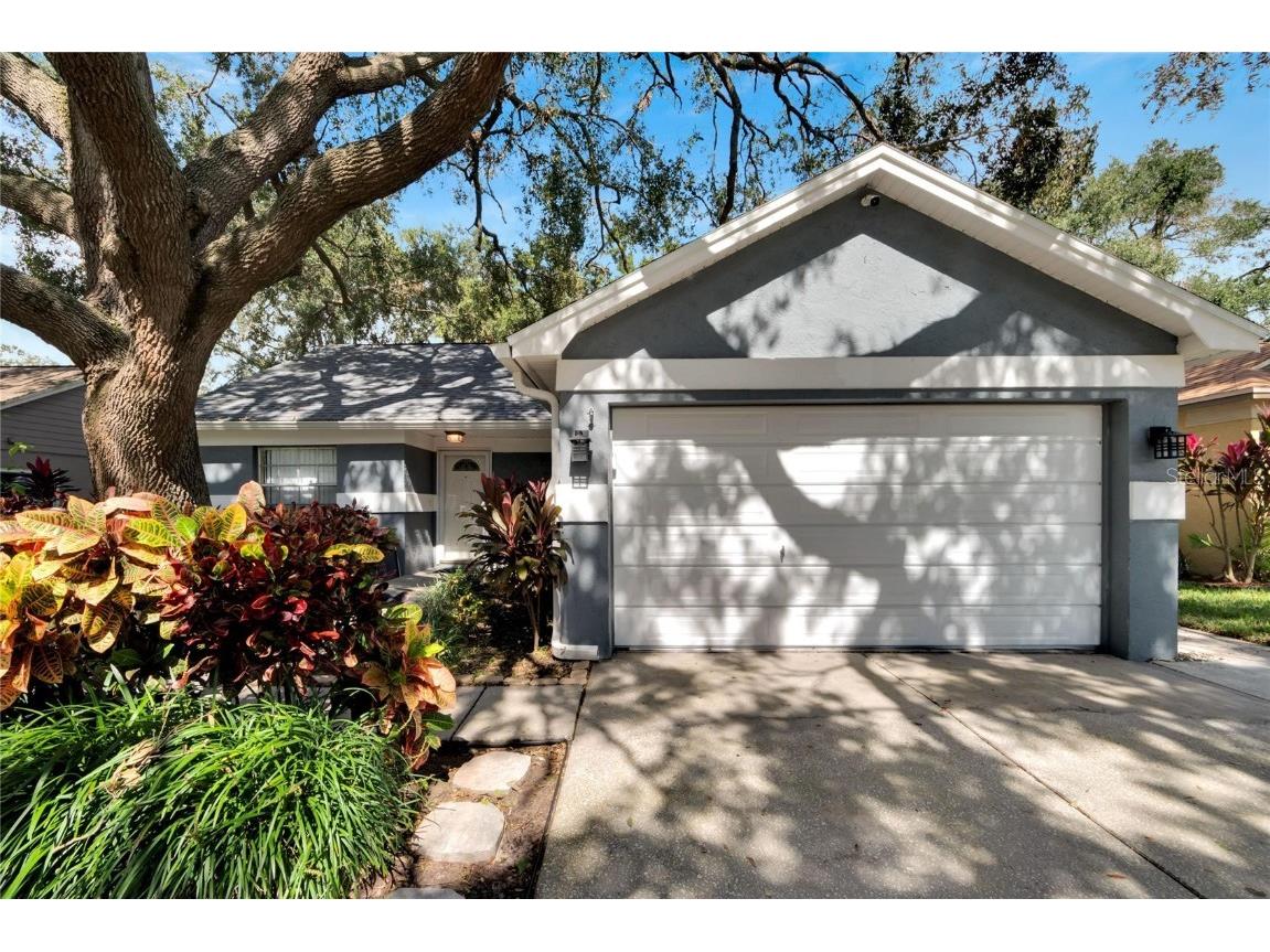 2004 Rudder Drive Valrico FL 33594 TB8314227 image1