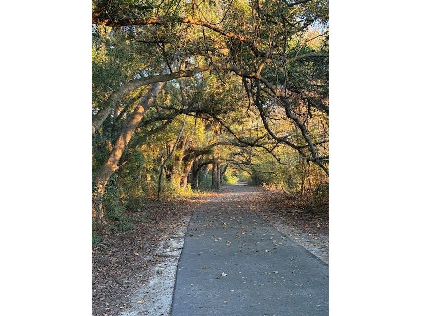 2004 SW 188th Street Newberry FL 32669 GC532841 image14