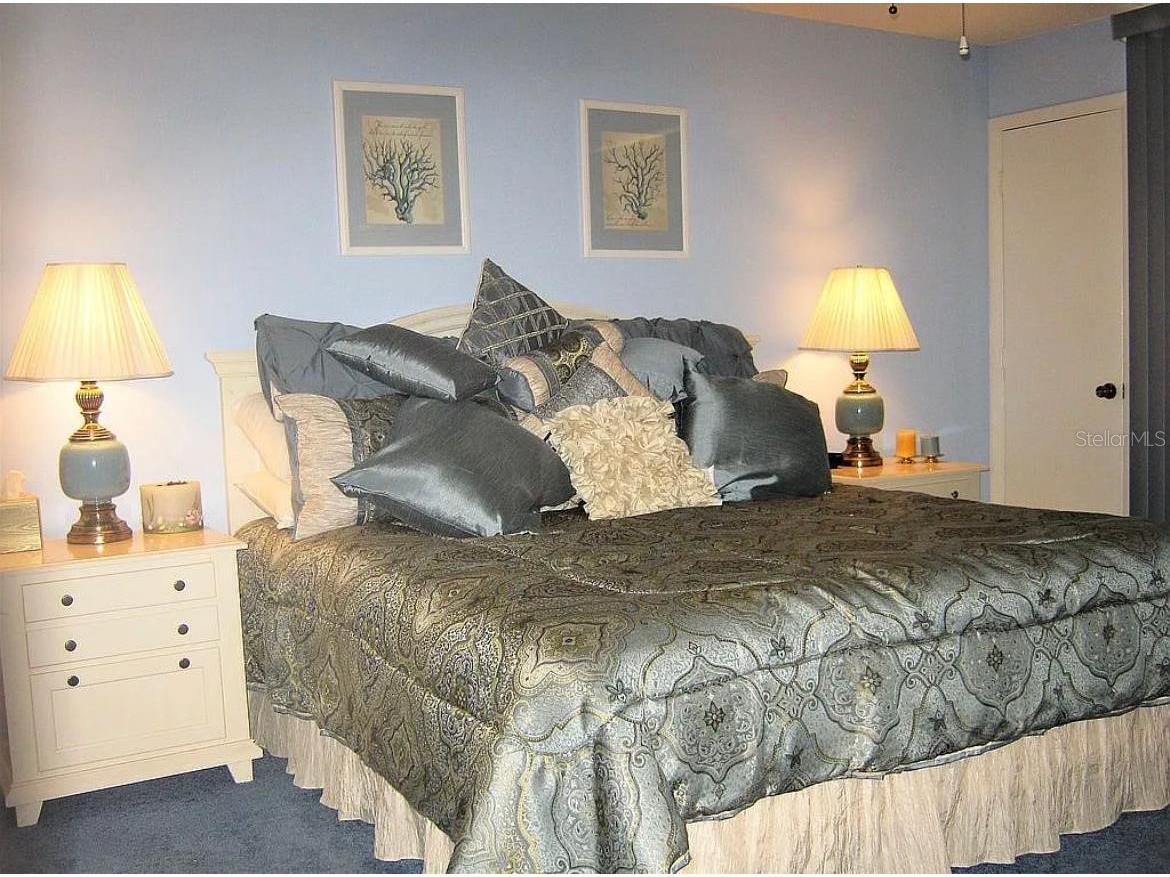 20040 Gulf Boulevard #302 Indian Shores FL 33785 - GULF OF MEXICO TB8476469 image9