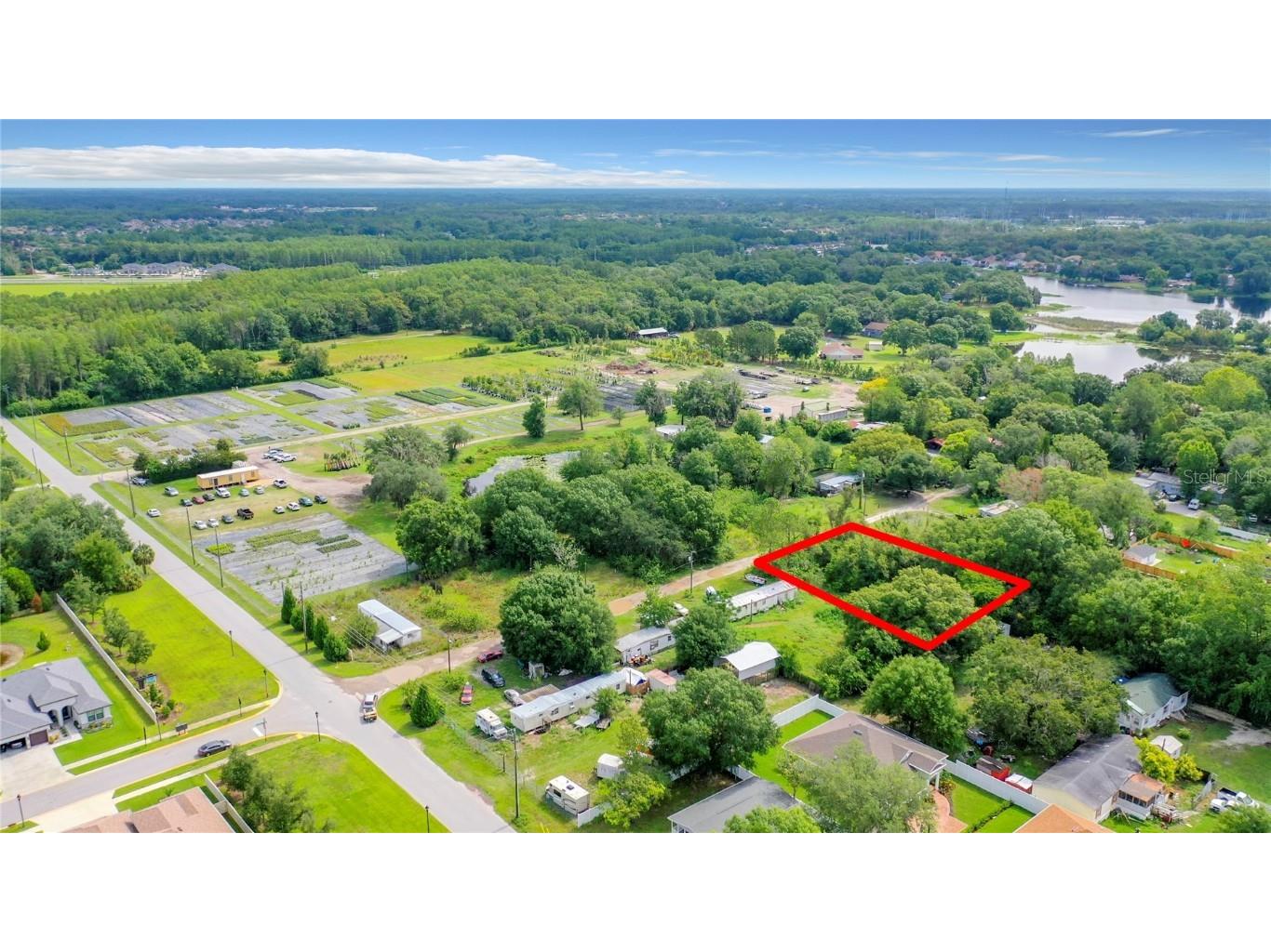 20040 Valdez Ln Lutz FL 33558 T3455193 image1