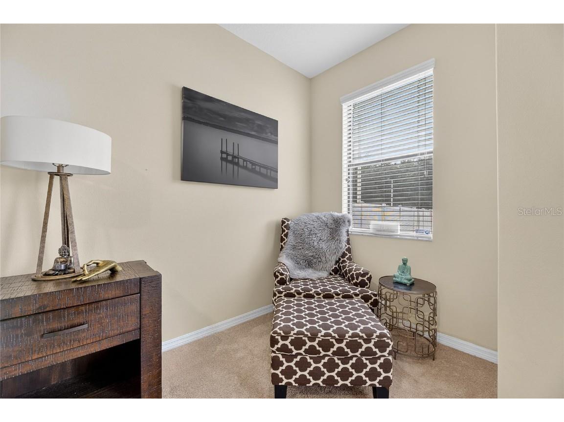 20041 Satin Leaf Avenue Tampa FL 33647 TB8457776 image13