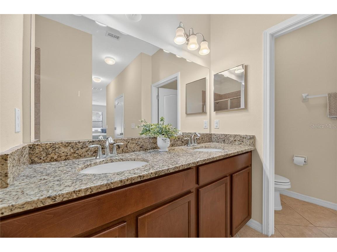 20041 Satin Leaf Avenue Tampa FL 33647 TB8457776 image15