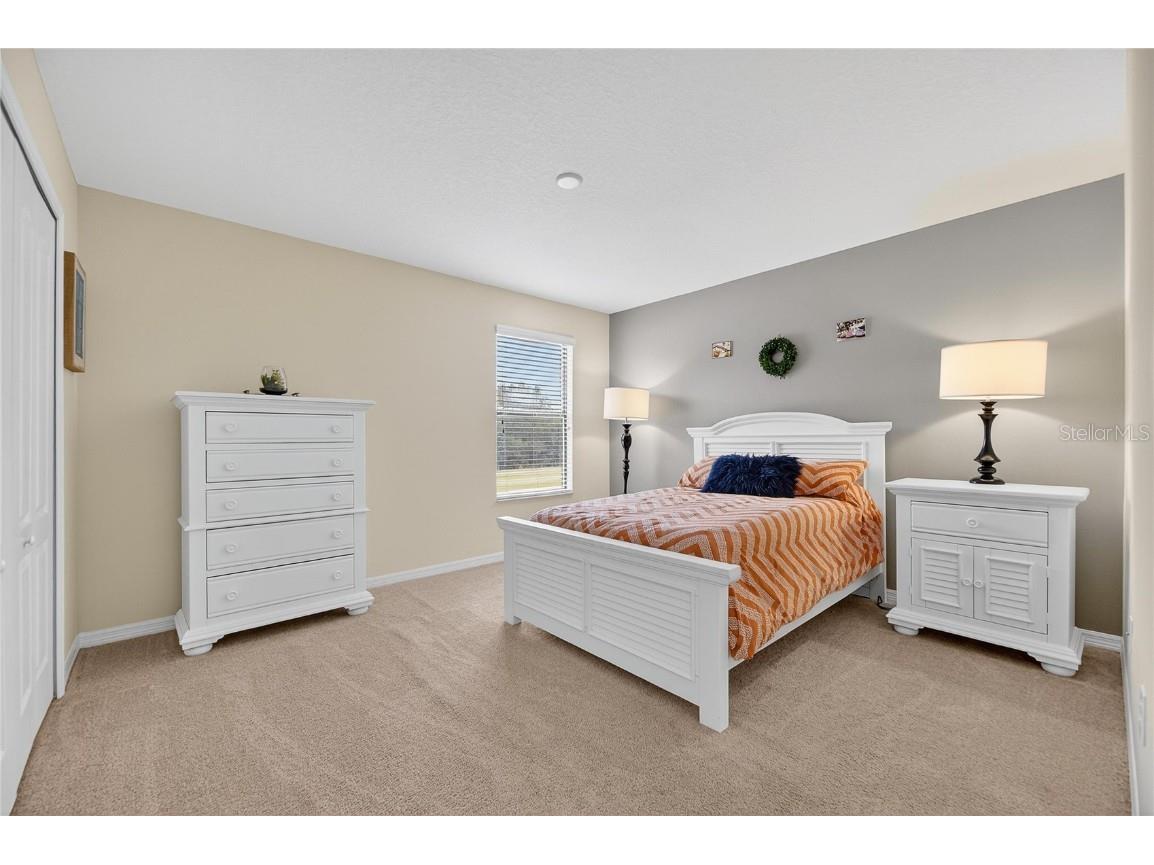 20041 Satin Leaf Avenue Tampa FL 33647 TB8457776 image17