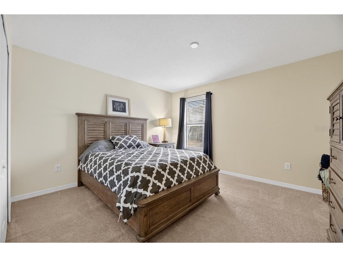 20041 Satin Leaf Avenue Tampa FL 33647 TB8457776 image19