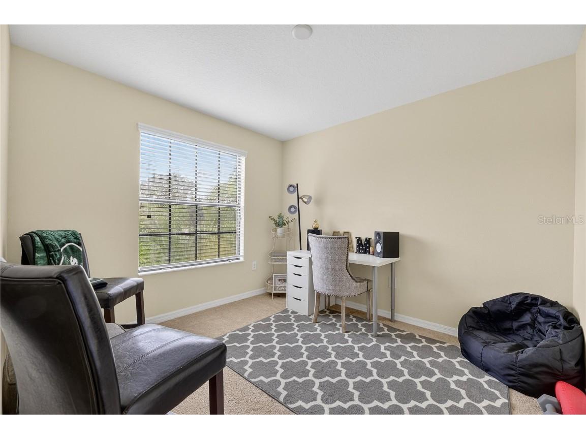 20041 Satin Leaf Avenue Tampa FL 33647 TB8457776 image21