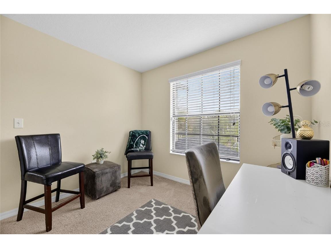 20041 Satin Leaf Avenue Tampa FL 33647 TB8457776 image22