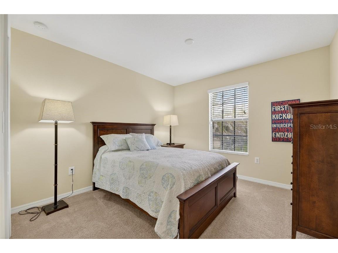 20041 Satin Leaf Avenue Tampa FL 33647 TB8457776 image23