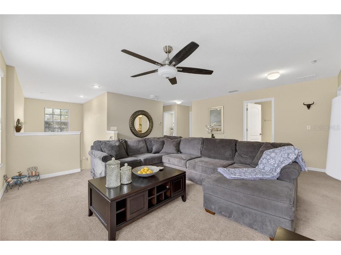 20041 Satin Leaf Avenue Tampa FL 33647 TB8457776 image27