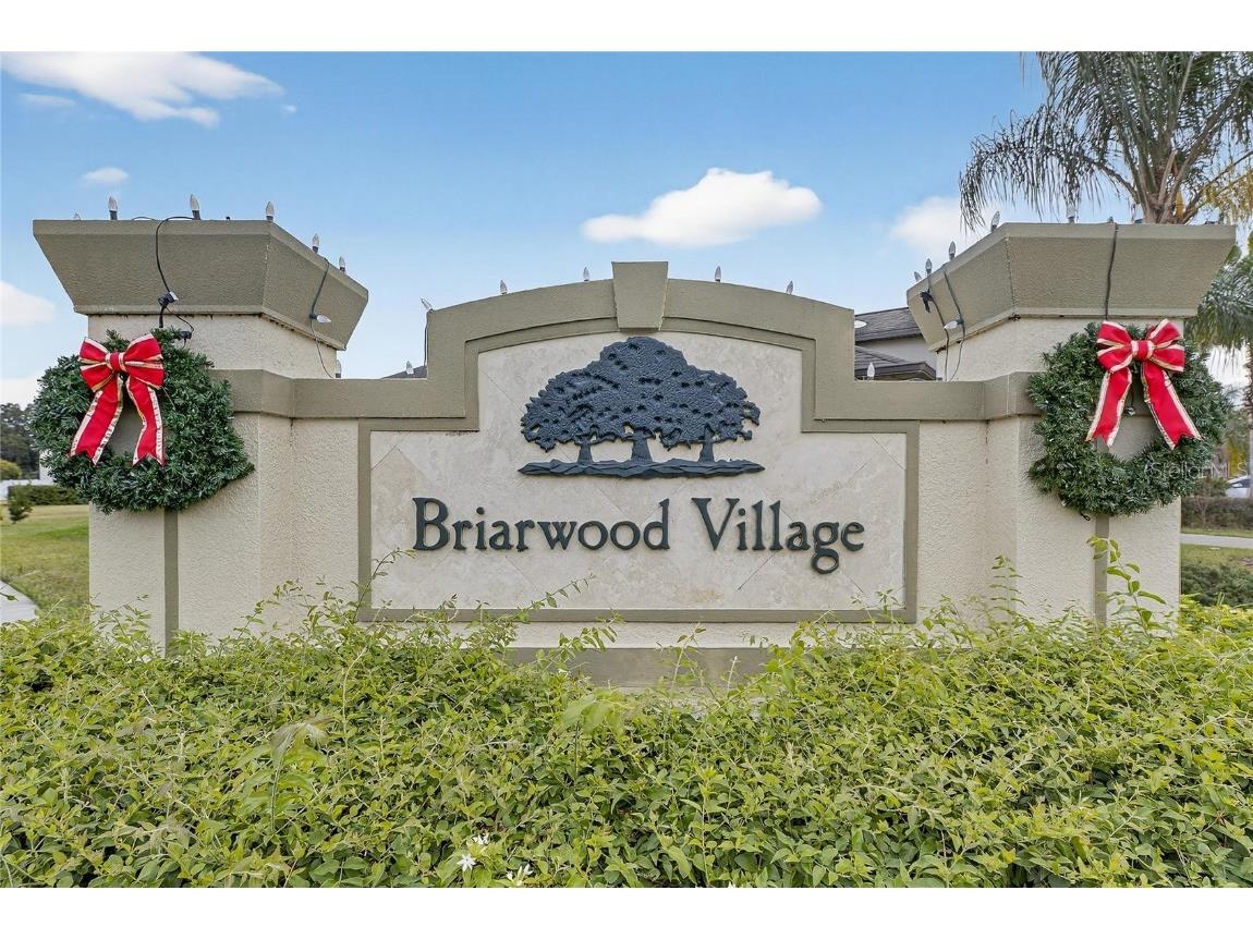 20041 Satin Leaf Avenue Tampa FL 33647 TB8457776 image28