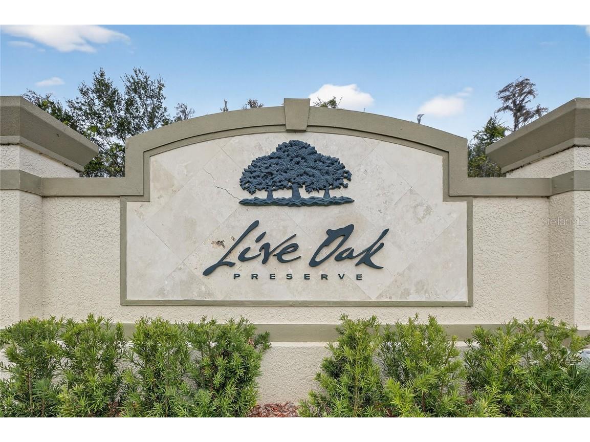 20041 Satin Leaf Avenue Tampa FL 33647 TB8457776 image29