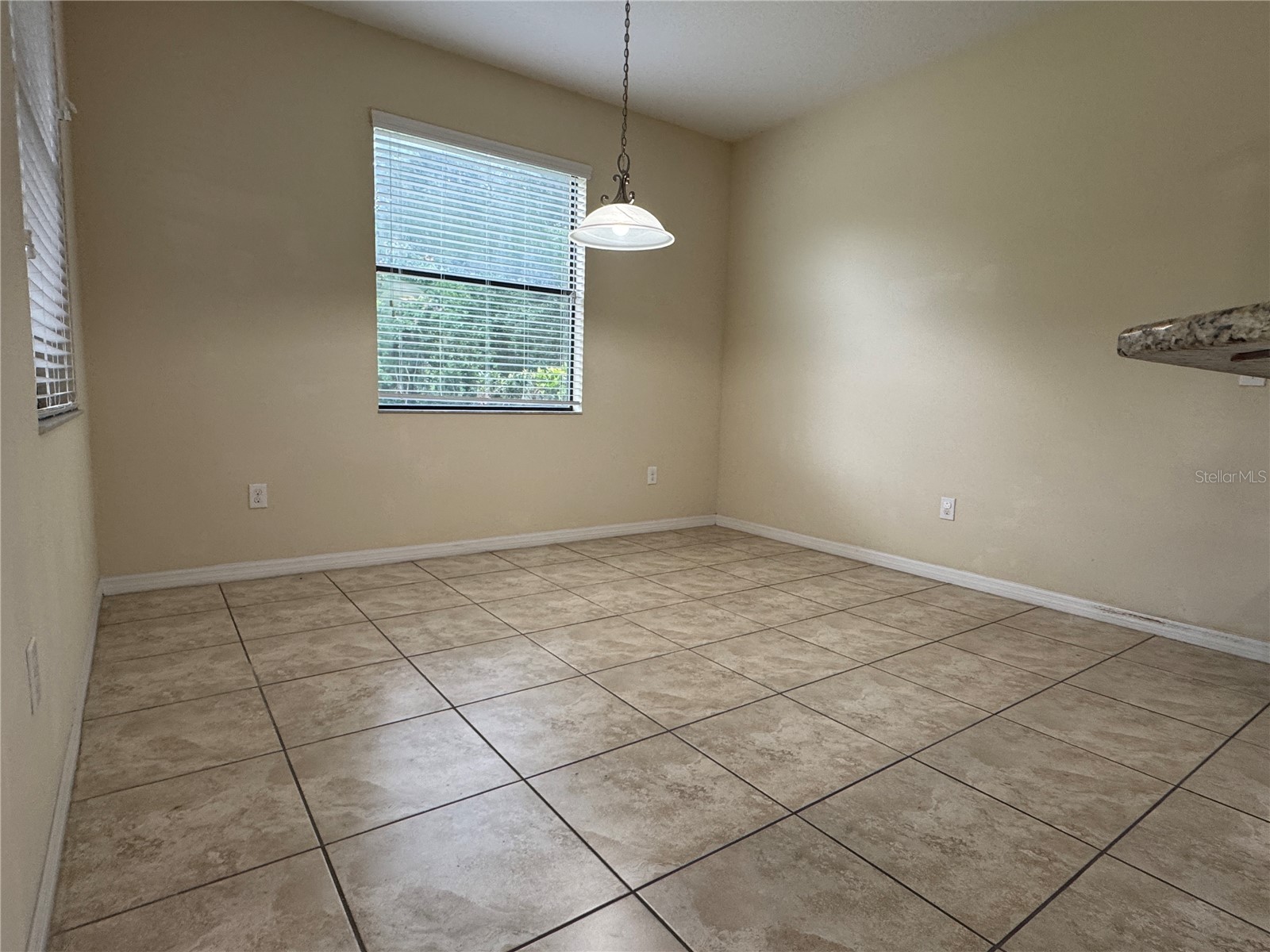 20044 Date Palm Way Tampa FL 33647 TB8500888 image12