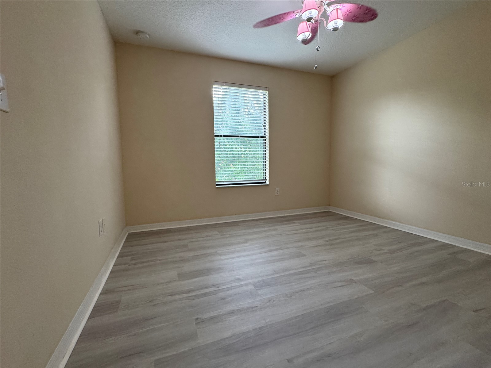 20044 Date Palm Way Tampa FL 33647 TB8500888 image19
